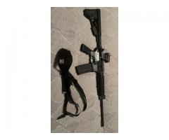 AR 15