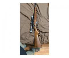 Guns for sale or trade for Honda 330ex or 400ex