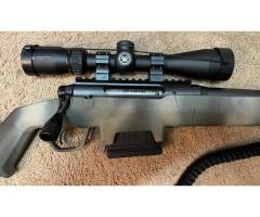 Savage Axis 308