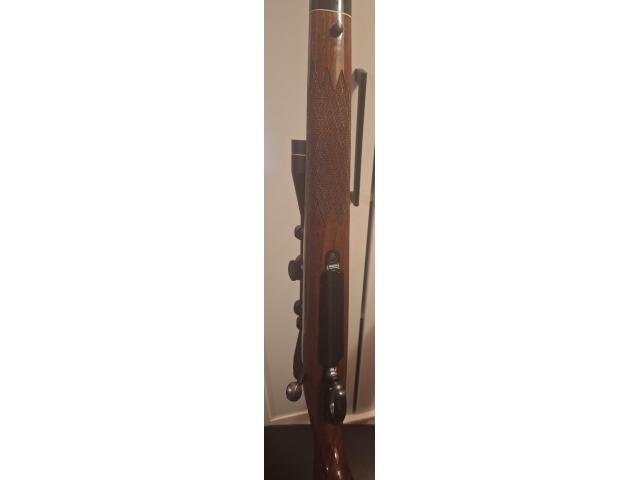 Image 2 / 3