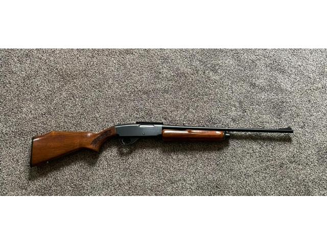 Image 1 / 1