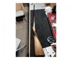 FAIR Iside 16 and 28 gauge