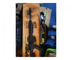 dpms ar10 308