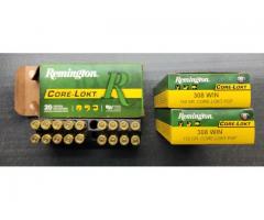 308 ammunition