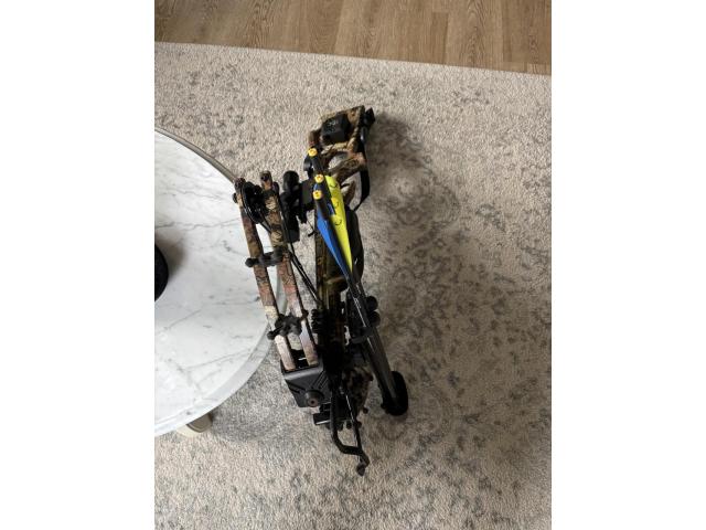 Image 4 / 4