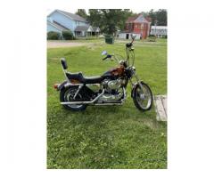 2002 1200 custom sportster