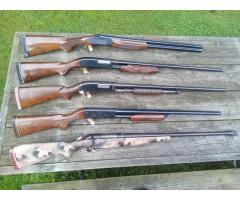 Shotguns for sale