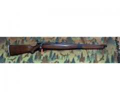 Mossberg 46M 22lr
