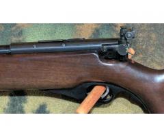 Mossberg 46M 22lr