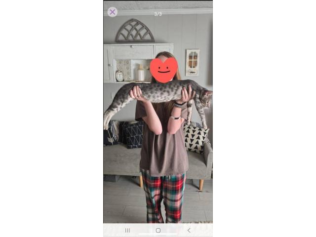 Image 1 / 2