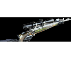 Ruger m77 guide gun (375 ruger)