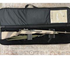 Springfield M1A