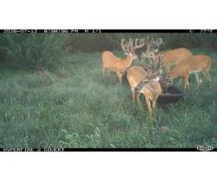 Preserve Hunts Lebanon, Kansas