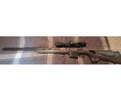 Remington Model 700 .223