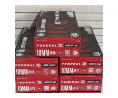 10 mm ammunition