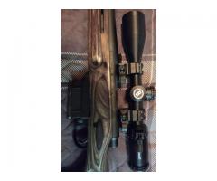 Remington Model 700 .223