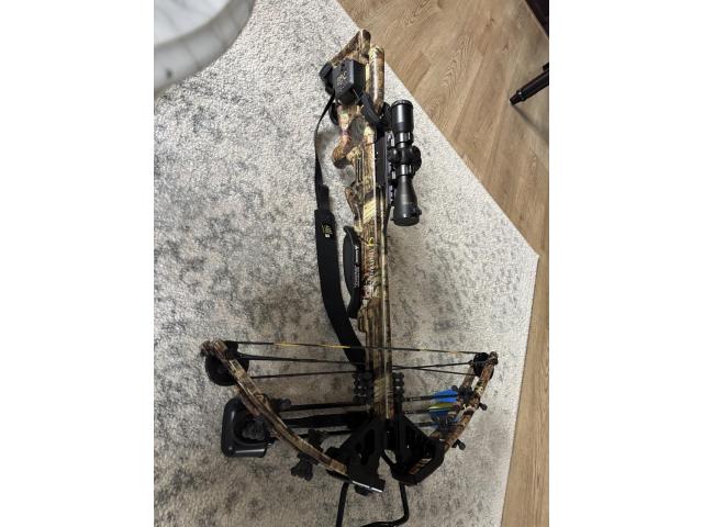 Image 4 / 4
