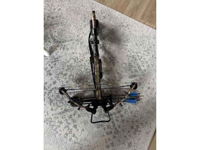 Image 3 / 4
