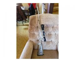 ruger mark II compact
