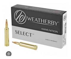 257 weatherby