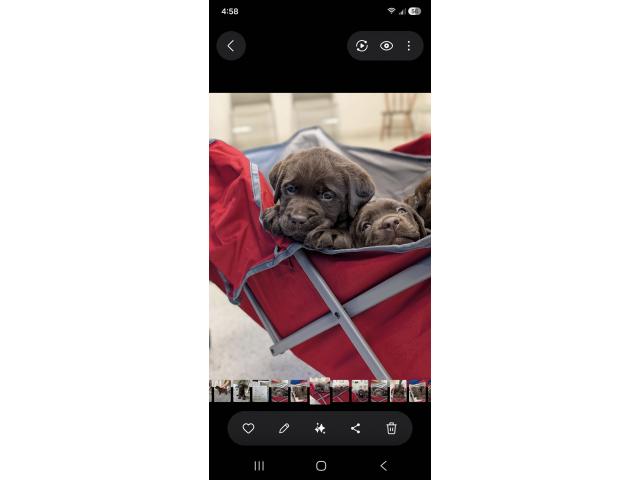 Image 1 / 1
