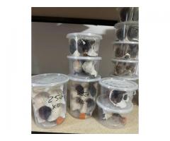 Feeders for Reptiles/Birds/Fishing