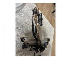 Ten point crossbow