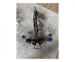 Ten point crossbow