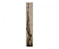 Browning 300 win mag.