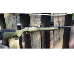 Ruger American. 22lr Varmint