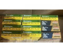 Remington 20 Slugs & Buckshot