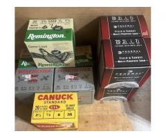 20 Gauge Game Loads