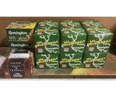 Bulk .22 Ammo