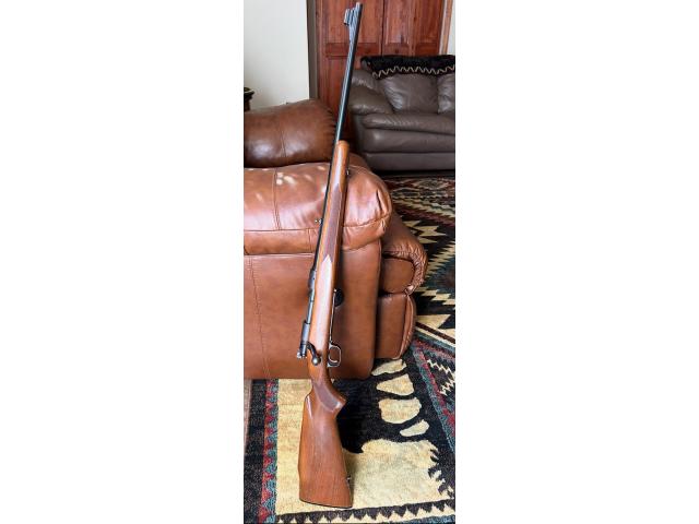Image 1 / 1