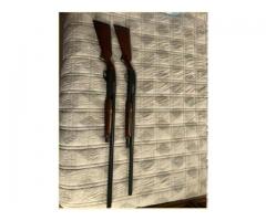 12 ga. Shotguns