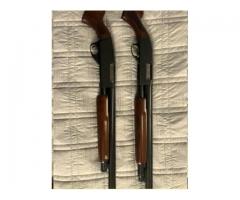 12 ga. Shotguns
