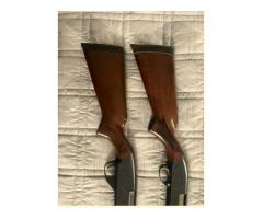 12 ga. Shotguns