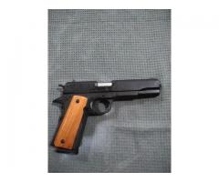 Rock Island armory  1911 45 acp