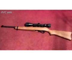 Ruger 10/22 Semi-automatic rifle