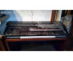 Electronic organ
