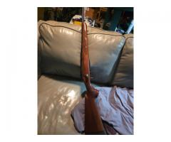 Tikka 308