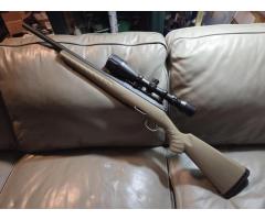 350 legend  ruger