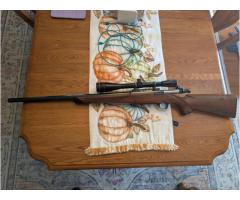 Browning BBR 22-250 Rem. With Leupold scope