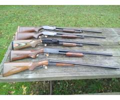 Shotguns for sale