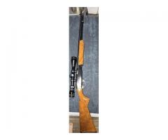 Remington 572 22 pump