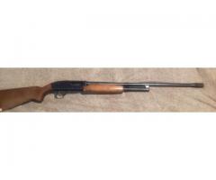 12 Gauge Shotgun