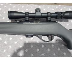 Remington 597 22