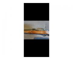Sako 243 varmit
