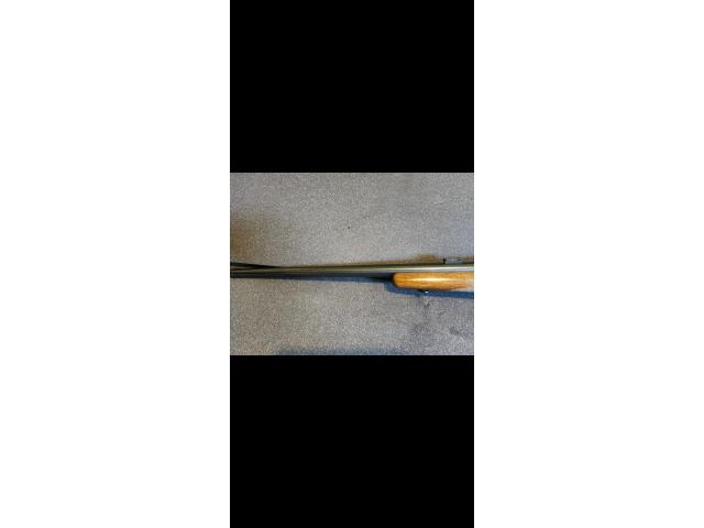 Image 2 / 3