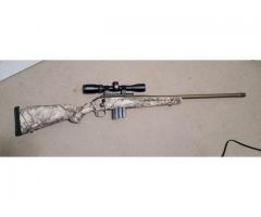 Ruger go wild 350 ledgon